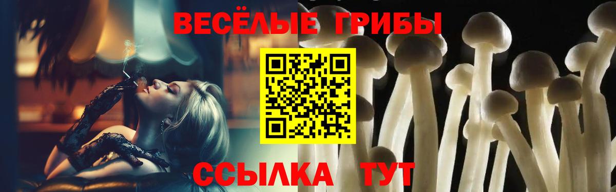Галлюциногенные грибы Psilocybine cubensis  Вход с VPN  Галлюциногенные грибы мицелий  Ухта 